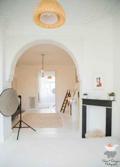 Bear & Dragon Photography