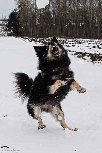 Nadine Claessens Photography